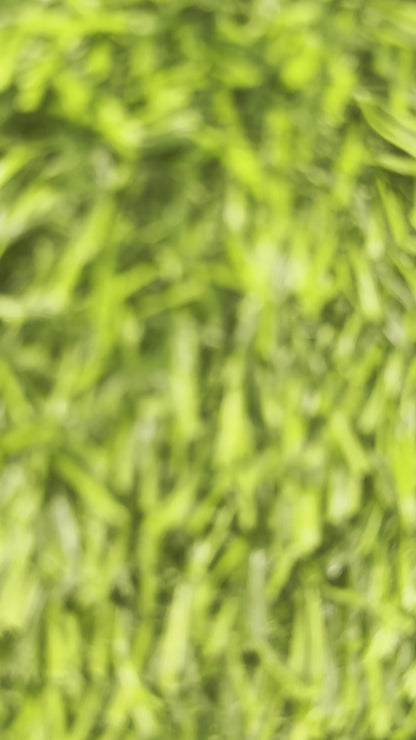 Mouse Jeans Faux Leather Bow