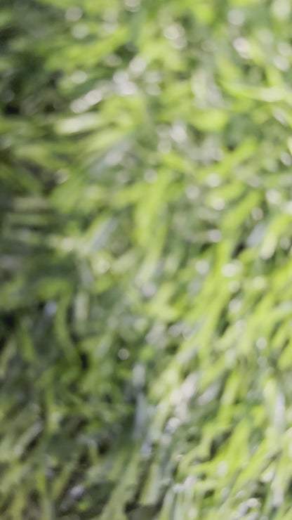 Magical Hair Snap Clips